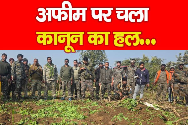अफीम पर चला कानून का हल… अफीम पर चला कानून का हल…