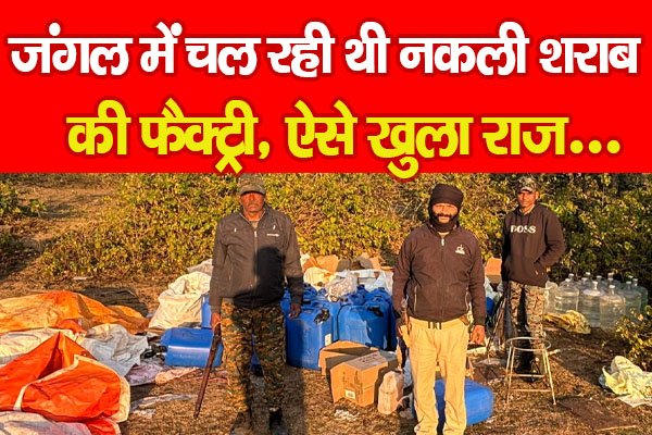 जंगल में चल रही थी नकली शराब की फैक्ट्री, ऐसे खुला राज... जंगल में चल रही थी नकली शराब की फैक्ट्री, ऐसे खुला राज...