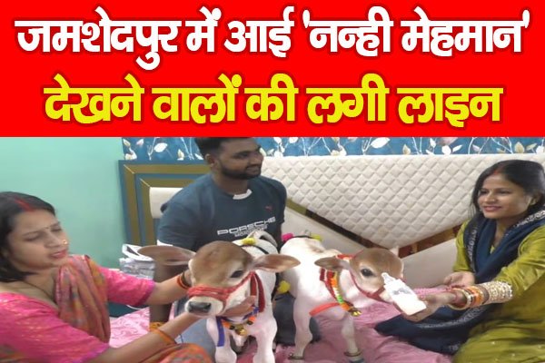जमशेदपुर में आई ‘नन्ही मेहमान’, देखने वालों की लगी लाइन जमशेदपुर में आई ‘नन्ही मेहमान’, देखने वालों की लगी लाइन