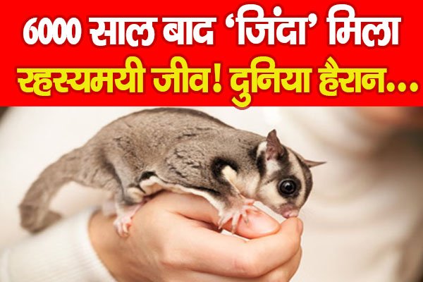 जरा हटकेः 6000 साल बाद ‘जिंदा’ मिला रहस्यमयी जीव! दुनिया हैरान… जरा हटकेः 6000 साल बाद ‘जिंदा’ मिला रहस्यमयी जीव! दुनिया हैरान…