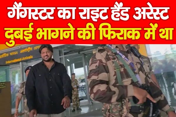 गैंगस्टर गैंगस्टर
