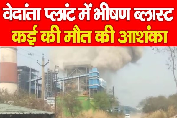 Vedanta Plant Vedanta Plant