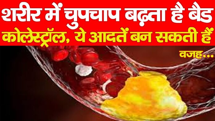 शरीर में चुपचाप बढ़ता है बैड कोलेस्ट्रॉल, ये आदतें बन सकती हैं वजह…
