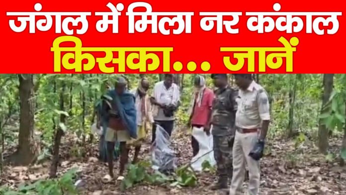 जंगल में मिला नर कंकाल, किसका… जानें