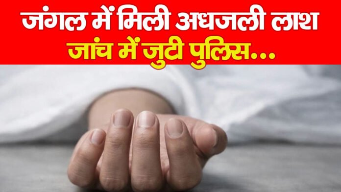 जंगल