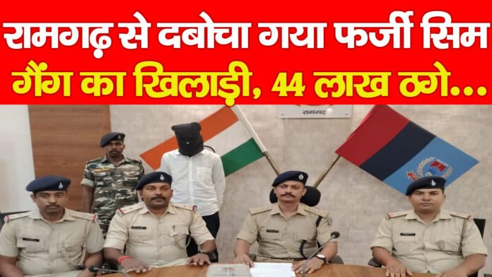 फर्जी सिम