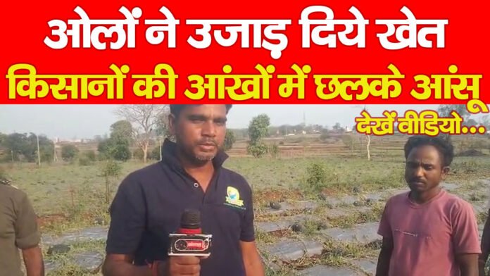 किसानों किसानों