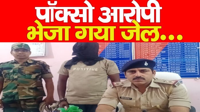 पॉक्सो आरोपी भेजा गया जेल…