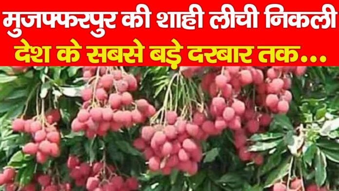 मुजफ्फरपुर