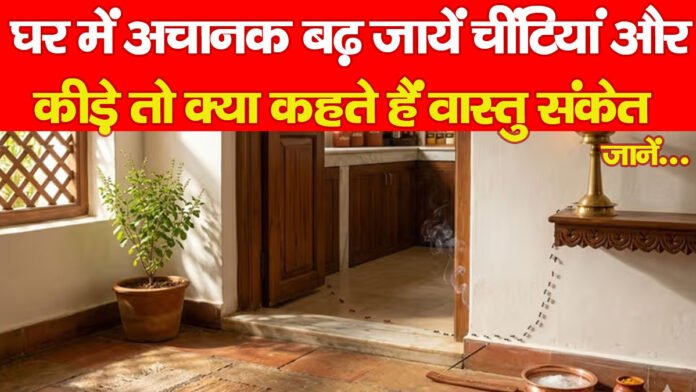 चींटियां चींटियां