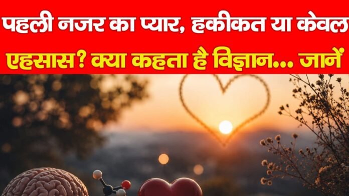 धड़कनें