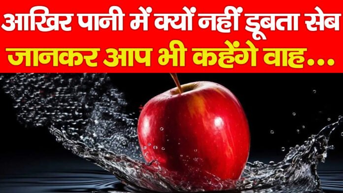 आखिर पानी में क्यों नहीं डूबता सेब, जानकर आप भी कहेंगे वाह…. आखिर पानी में क्यों नहीं डूबता सेब, जानकर आप भी कहेंगे वाह….