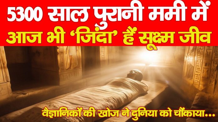 5300 साल पुरानी ममी में आज भी ‘जिंदा’ हैं सूक्ष्म जीव! वैज्ञानिकों की खोज ने दुनिया को चौंकाया…