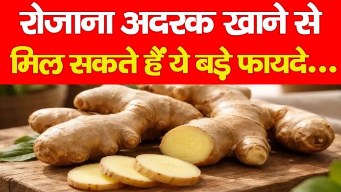 रोजाना अदरक खाने से मिल सकते हैं ये बड़े फायदे…