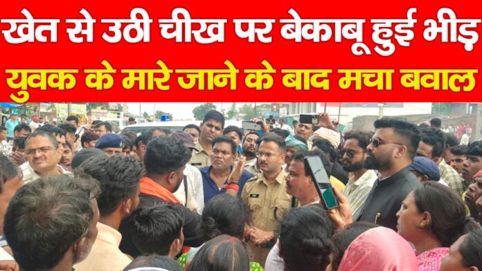 खेत