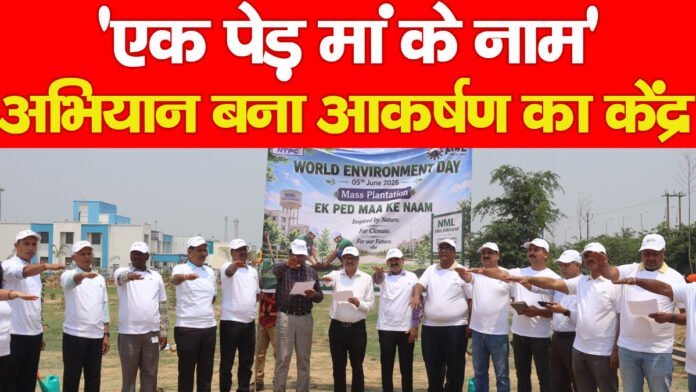 पर्यावरण दिवस