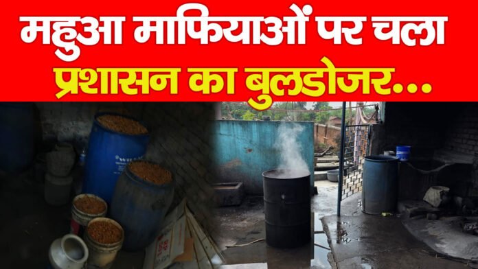 महुआ महुआ