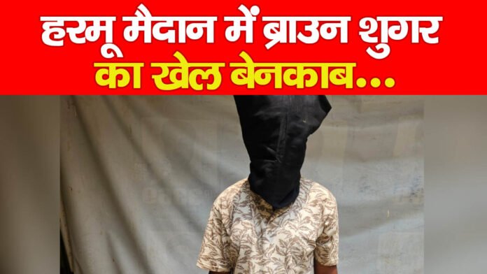 हरमू हरमू