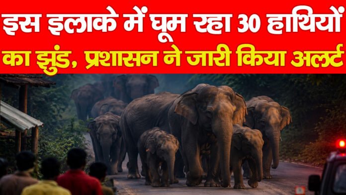 हाथियों