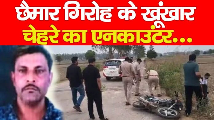 आसिम अली आसिम अली
