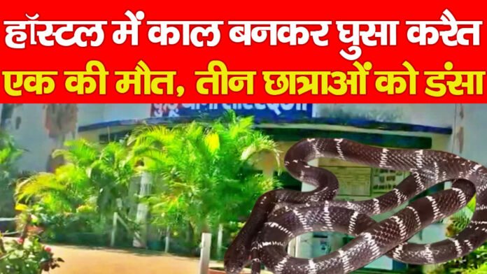 करैत