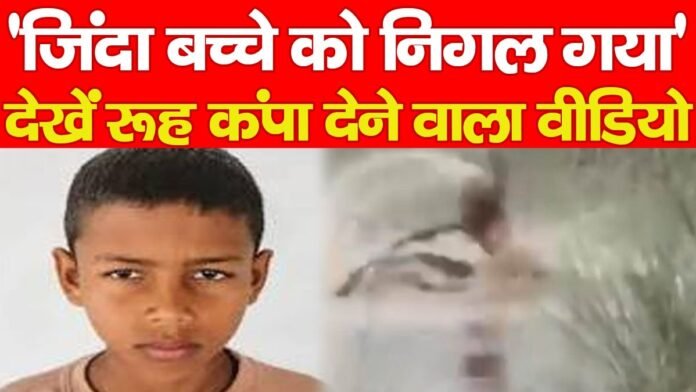 ‘जिंदा बच्चे को निगल गया’, देखें रूह कंपा देने वाला वीडियो…