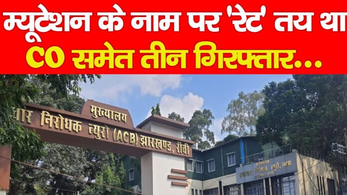 जमीन