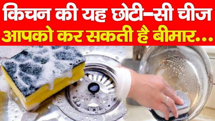 किचन की यह छोटी-सी चीज आपको कर सकती है बीमार…