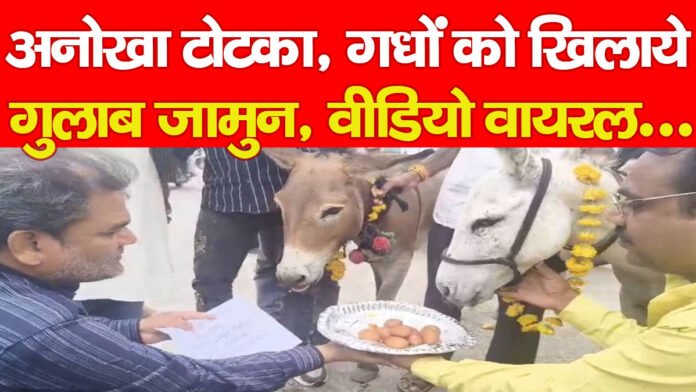 टोटका टोटका
