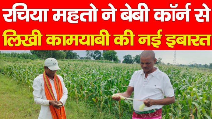 बेबी कॉर्न