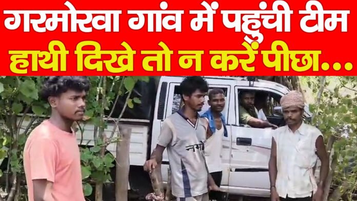 हाथी