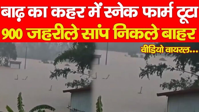 स्नेक