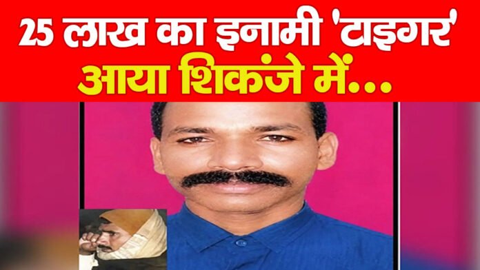 25 लाख का इनामी ‘टाइगर’ आया शिकंजे में… 25 लाख का इनामी ‘टाइगर’ आया शिकंजे में…