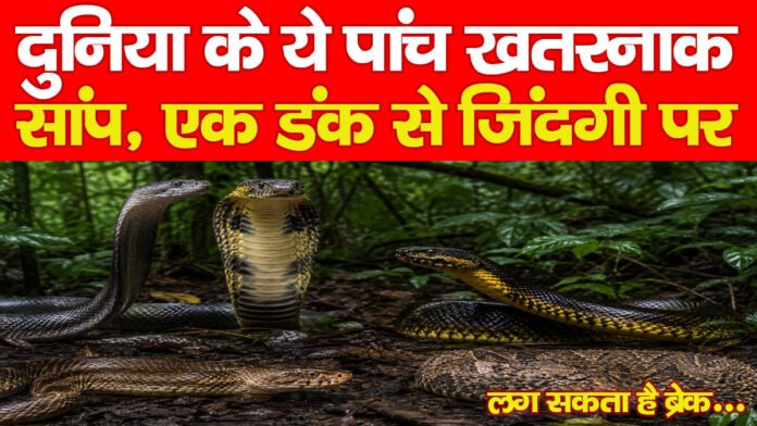 दुनिया के ये पांच खतरनाक सांप, एक डंक से जिंदगी पर लग सकता है ब्रेक…