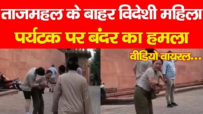 ताजमहल ताजमहल