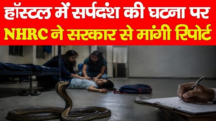 हॉस्टल हॉस्टल