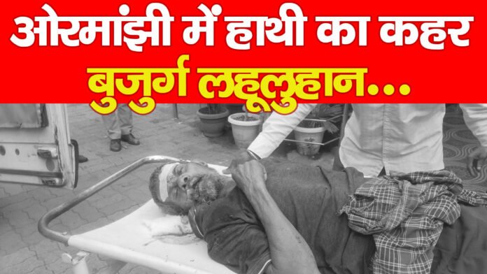 हाथी हाथी