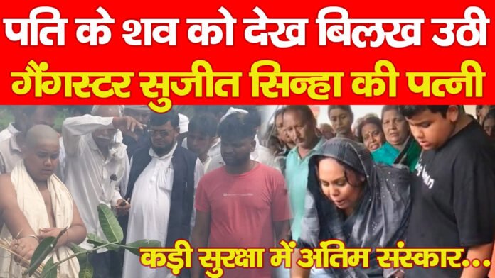 सुजीत सिन्हा
