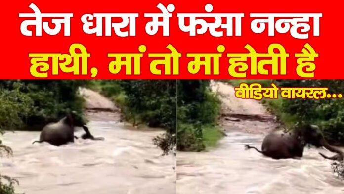 बारिश