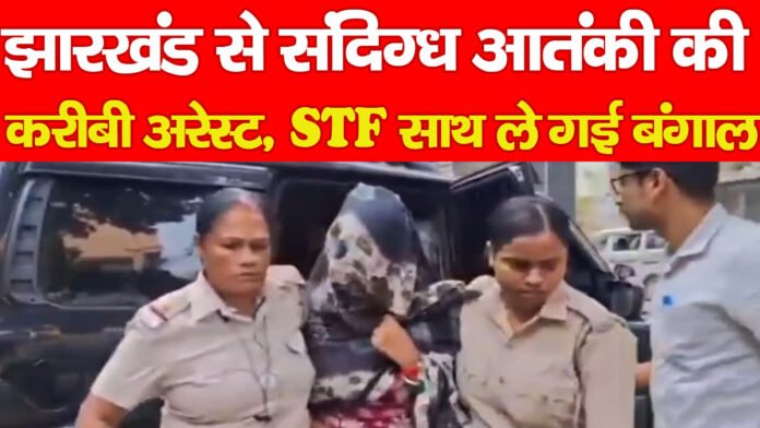 STF