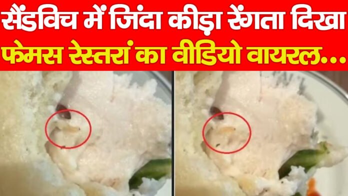 सैंडविच में जिंदा कीड़ा रेंगता दिखा, फेमस रेस्तरां का वीडियो वायरल…