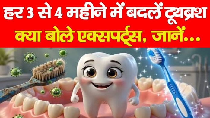 हर 3 से 4 महीने में बदलें टूथब्रश, क्या बोले एक्सपर्ट्स, जानें…