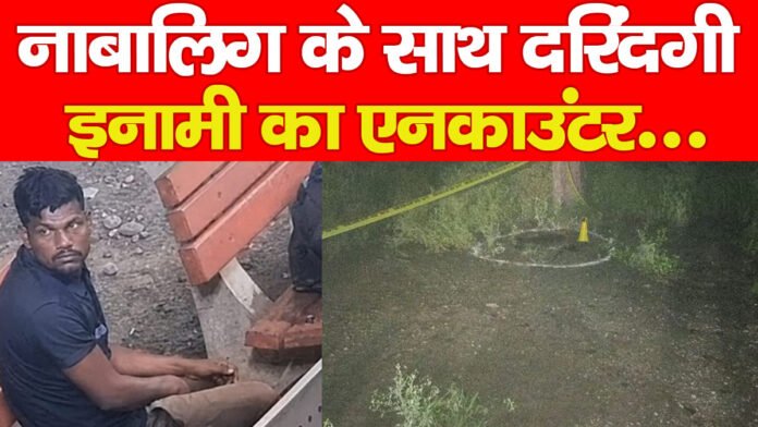 इनामी