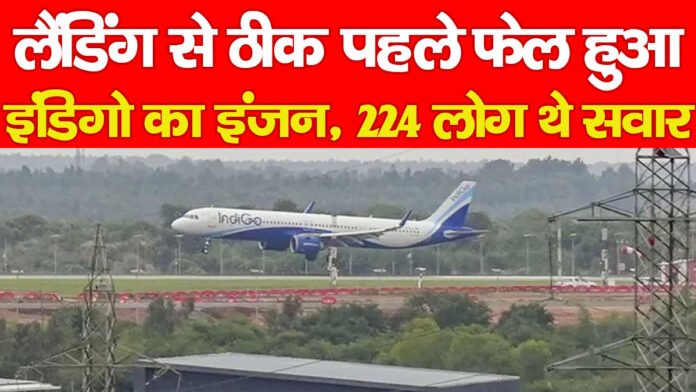 इंडिगो