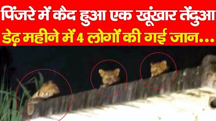 बेखौफ