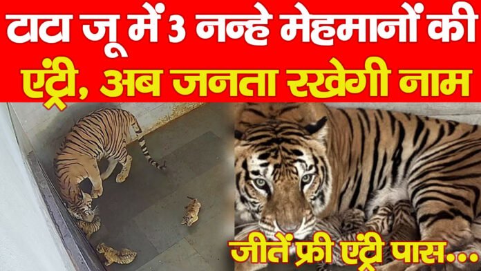 टाटा टाटा