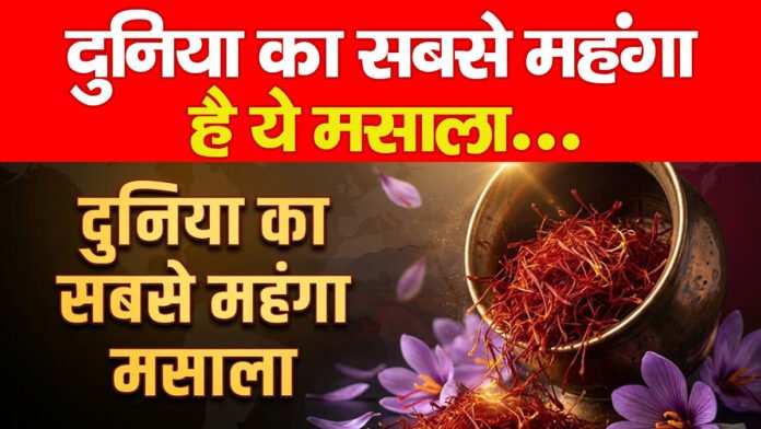 मसाला
