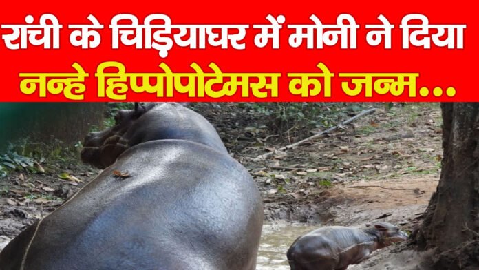 रांची रांची
